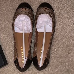 Coach Chelsea Outline Flats in Khaki/Chestnut